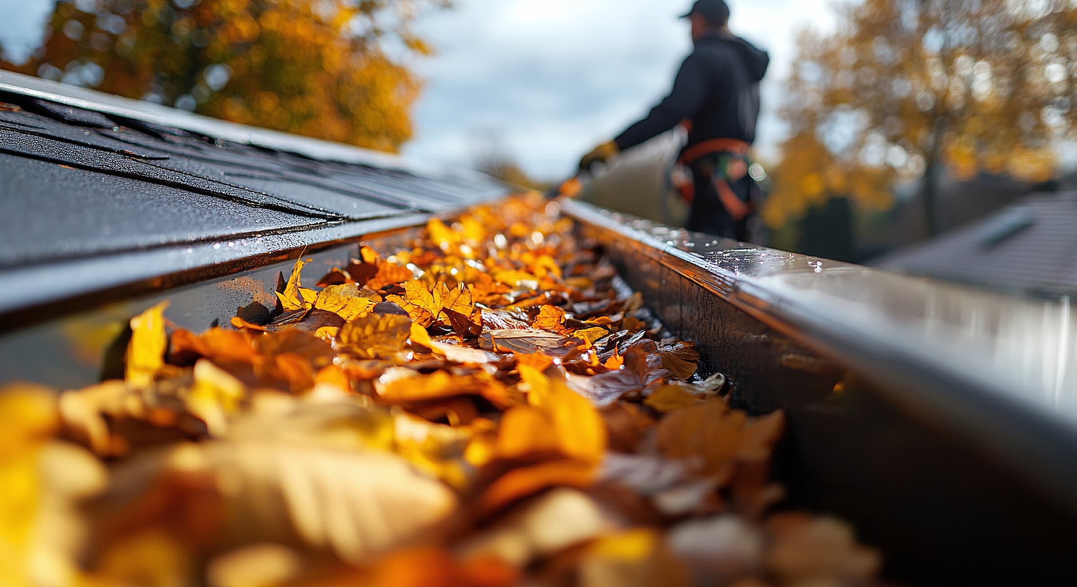 Dachrinnenreinigung
